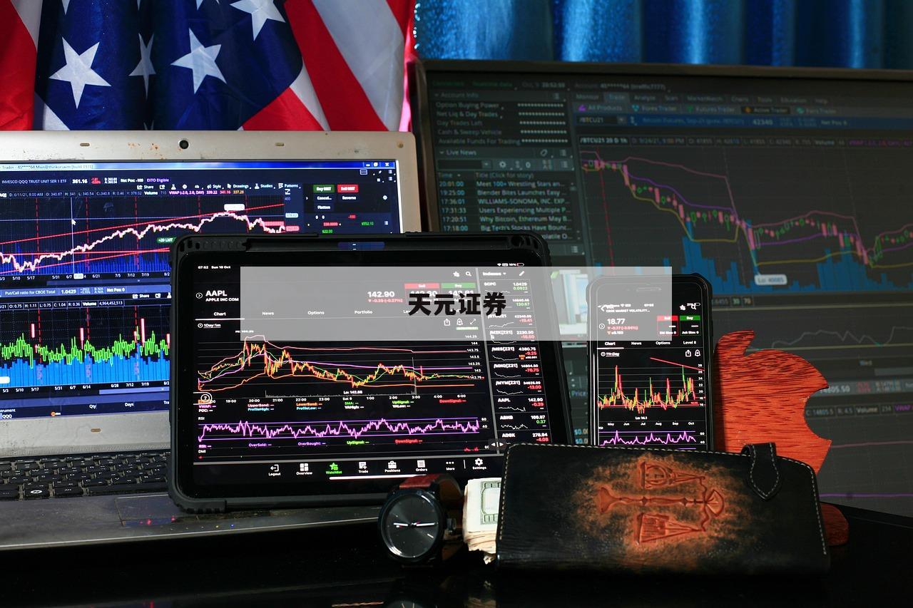配资网：投资新手的福音与挑战